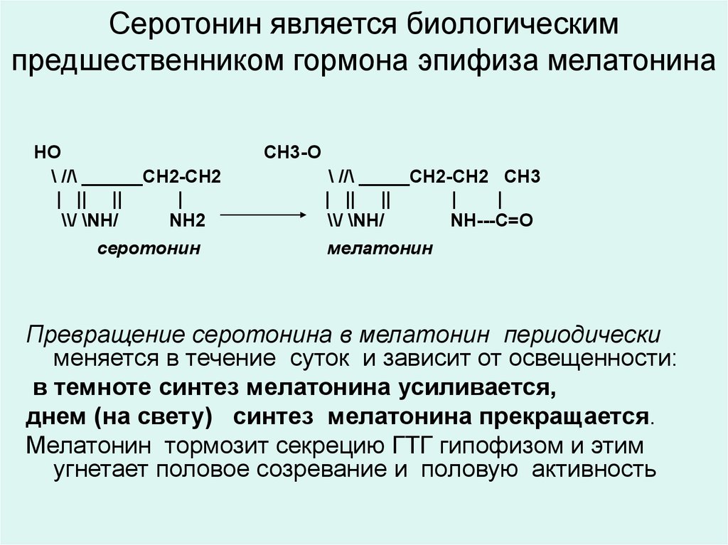 Функции серотонина. Синтез мелатонина из серотонина. Предшественник серотонина. Серотонин аминокислота предшественник. Синтез серотонина биохимия.