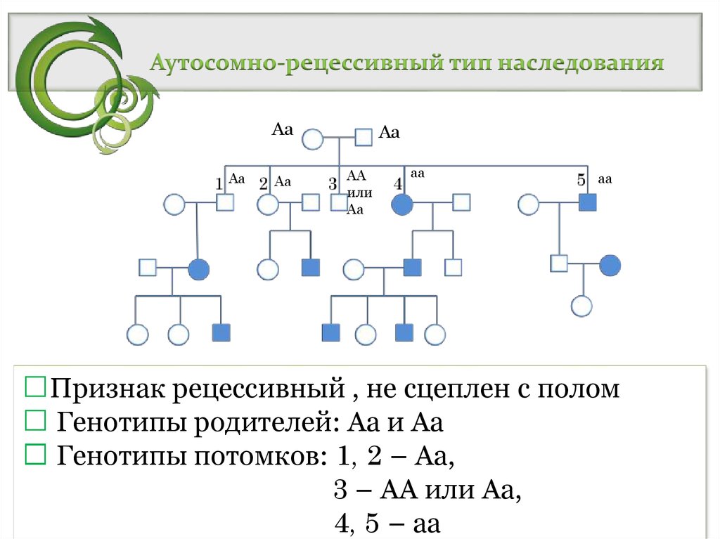 Типы наследования схемы