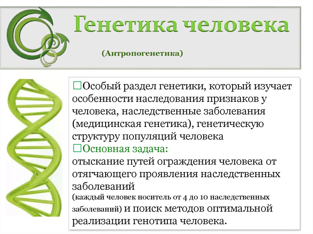 Особенности изучения генетики