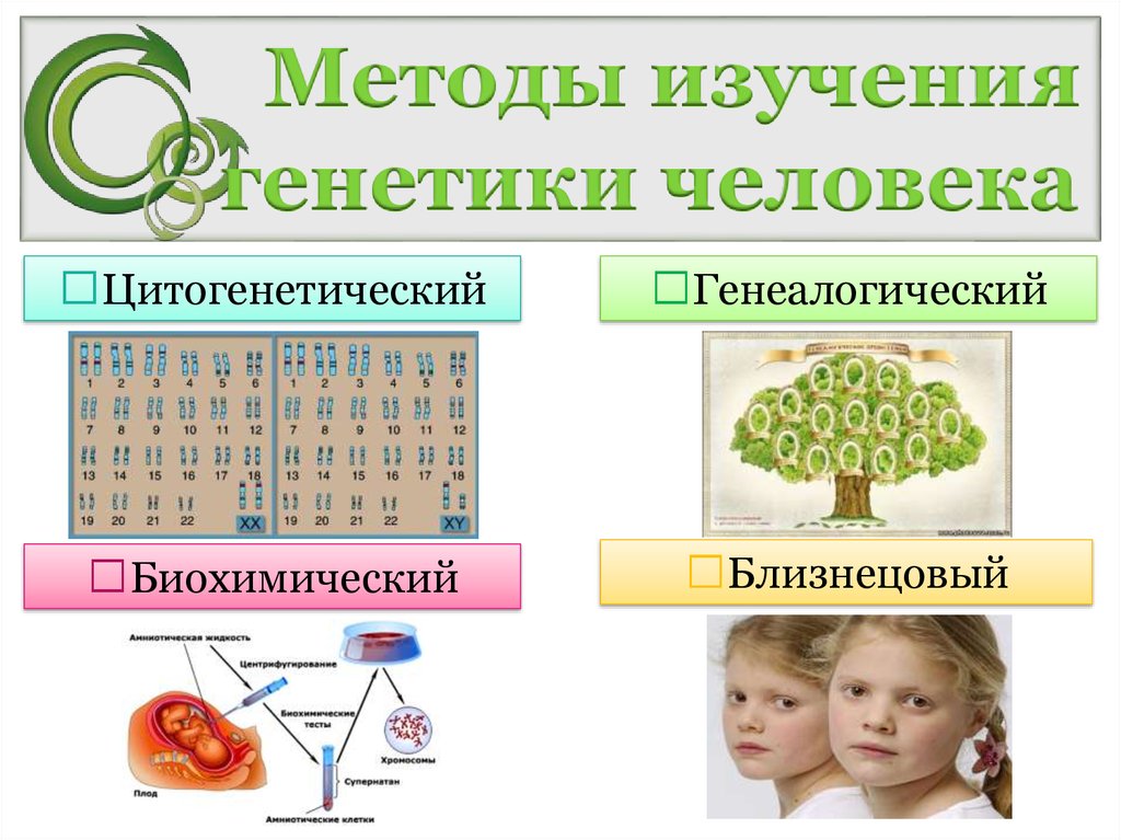 Класс биология генетика. Методы генетики человека. Методы изучения генетики. Генетика человека методы изучения генетики человека. Методы исследования генетики человека картинки.