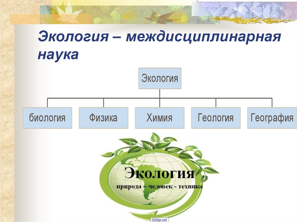 Экологическая биология наука. Экология как наука. Экология это в биологии. Взаимосвязь экологии с биологией. Экология междисциплинарная наука.