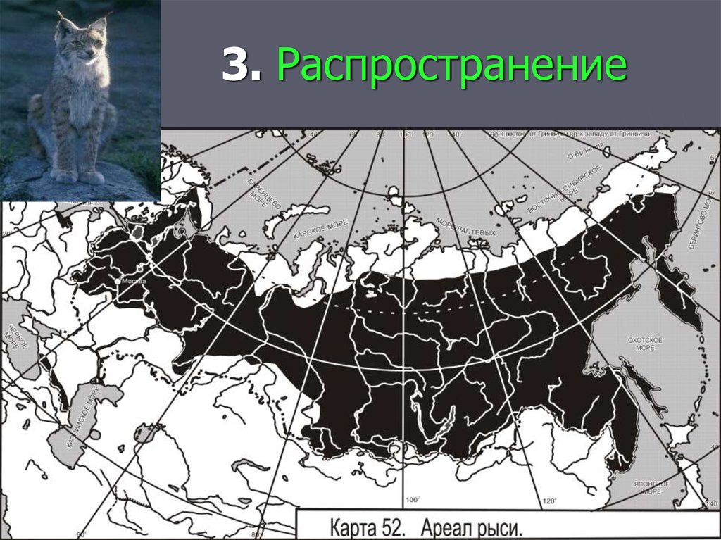 Колония полярный волк где находится на карте
