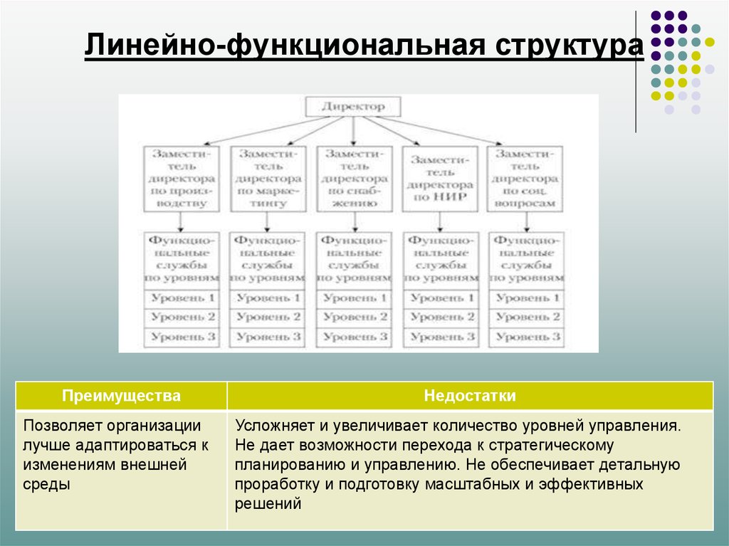 Функциональная структура общества. Линейно-функциональная структура преимущества и недостатки. Преимущества линейно-функциональной структуры управления. Достоинства линейно-функциональной структуры управления. Линейно функциональный конфликт.