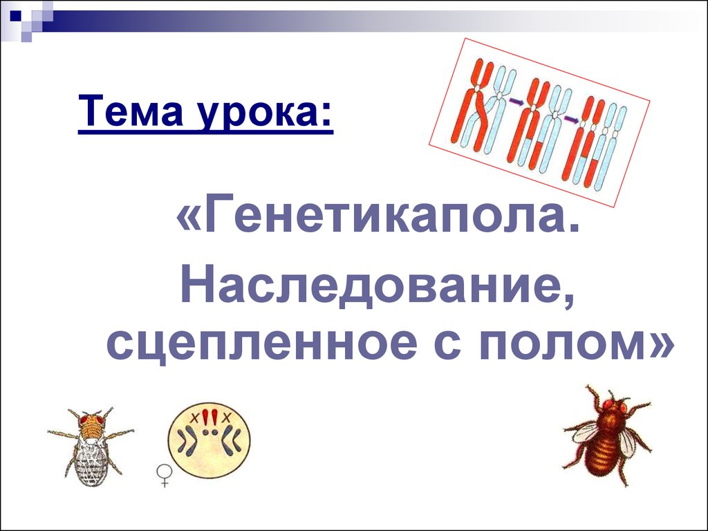 Генетика пола. Генетика пола и наследование сцепленное с полом. Генетика пола и наследование сцепленное. Генетика пола наследование сцепленное с полом презентация. Генетика пола тема по биологии.