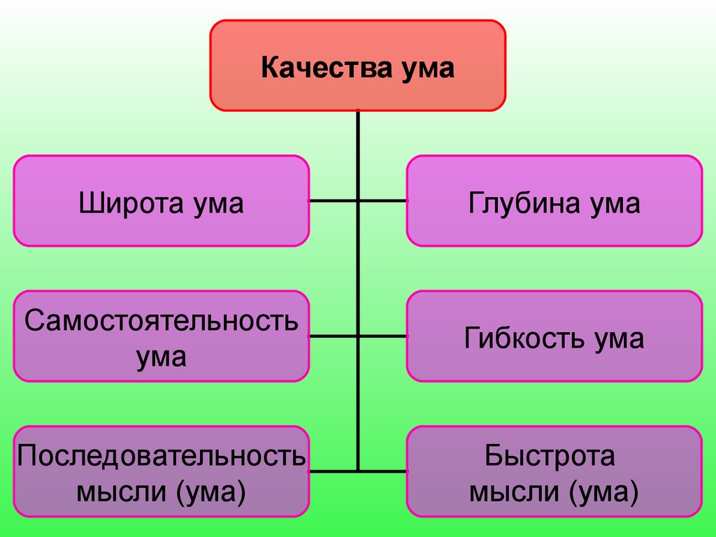 Ум да разум презентация истоки