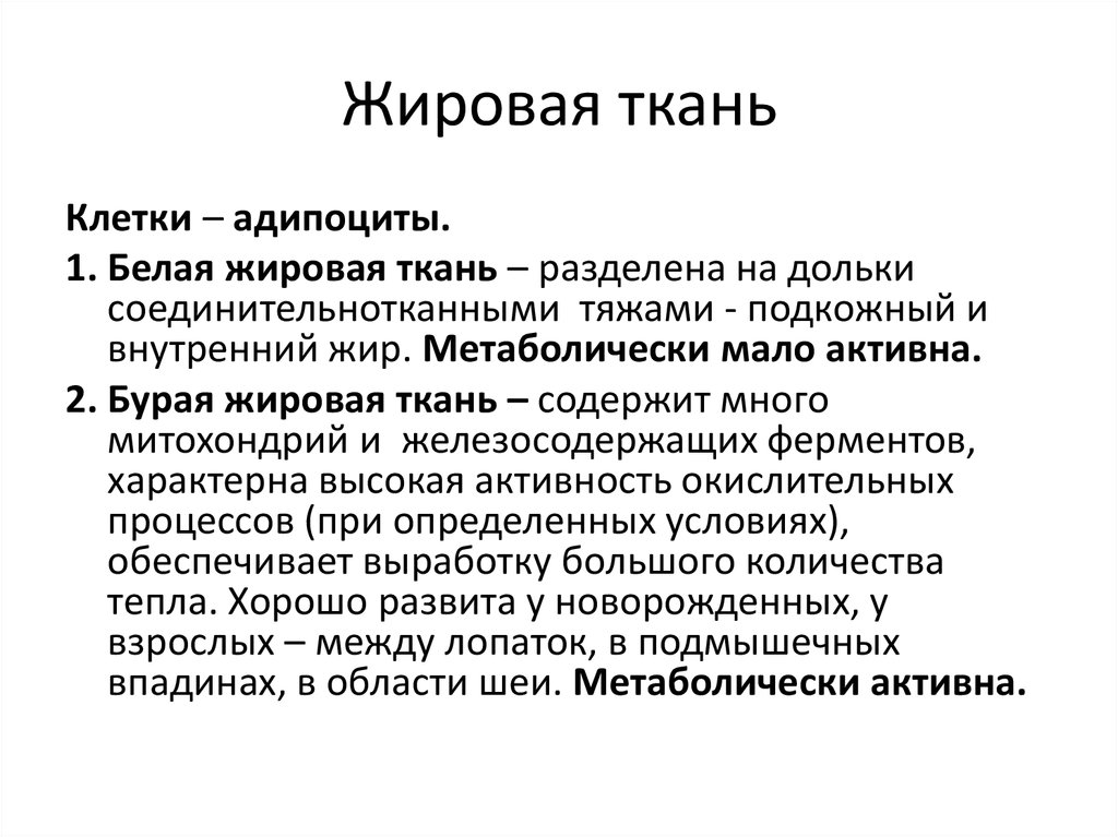 Мало активны. Бурая жировая ткань содержится. Характеристика белой жировой ткани. Бурая жировая ткань у новорожденных. Дольки белой жировой ткани.