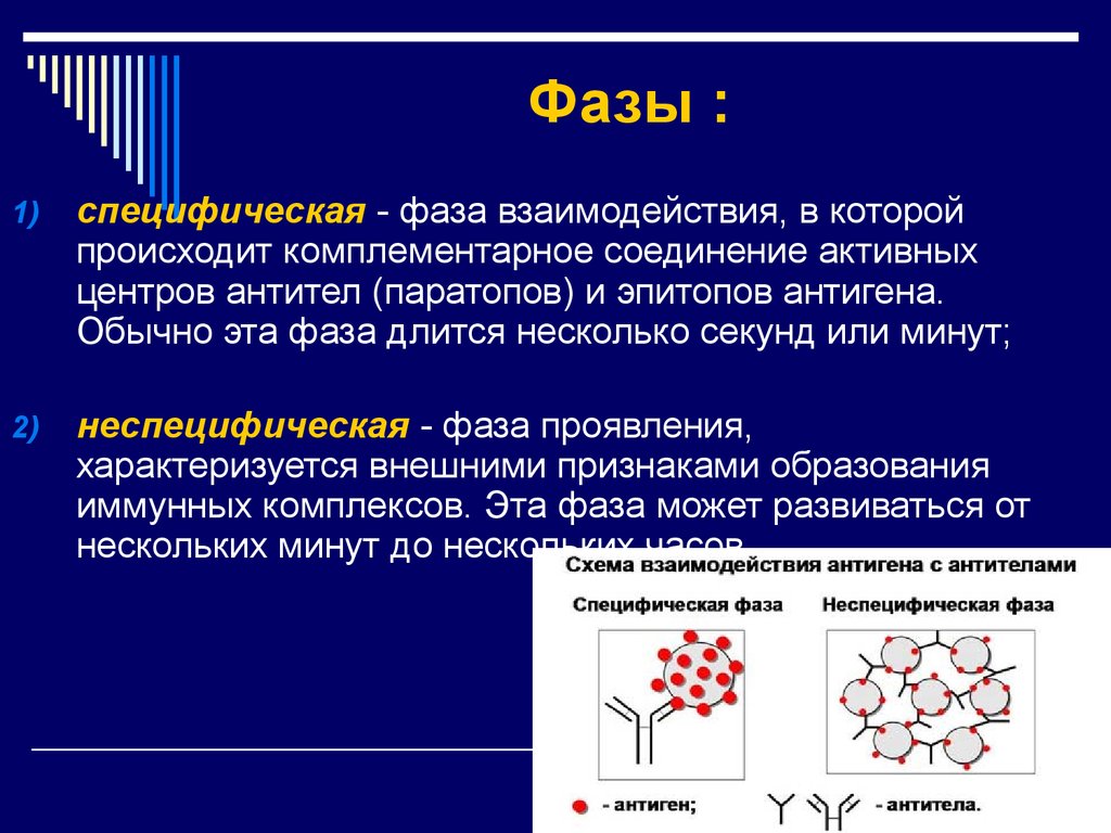 Микробиология антитела презентация