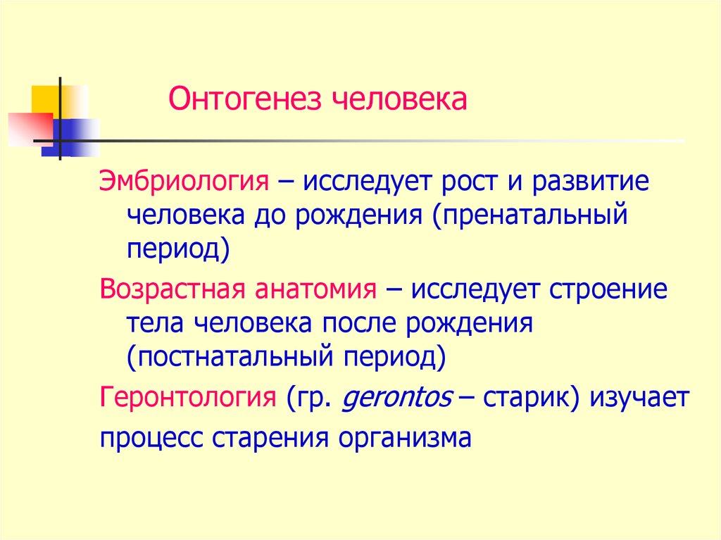 Онтогенез возрастная анатомия. Онтогенез человека. Онтогенез это в анатомии. Онтогенез человека анатомия. Постнатальный онтогенез это эмбриология.