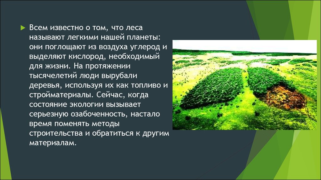 Зачем леса. Леса легкие нашей планеты. Сообщение на тему легкие планеты. Лес легкие нашей планеты. Проект лес легкие нашей планеты.