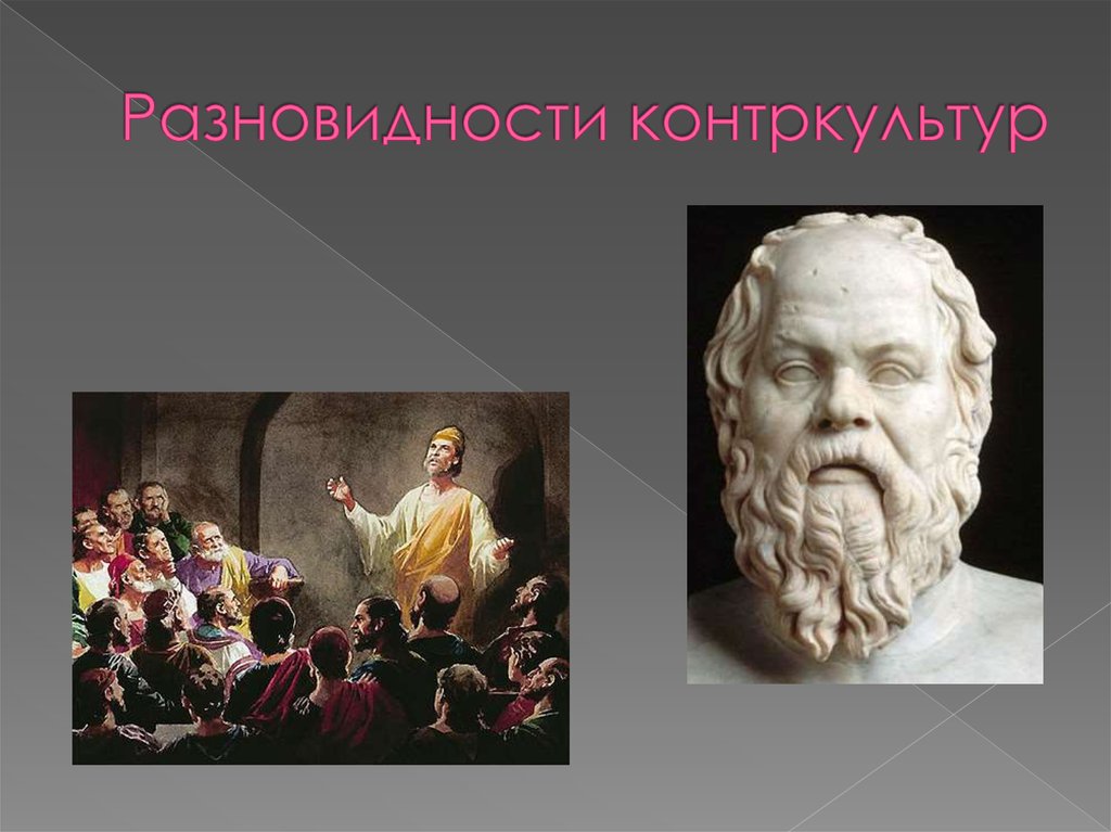 Разновидности контркультур