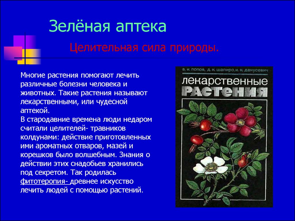 Берегите природу. Экологическое воспитание школьников - презентация онлайн