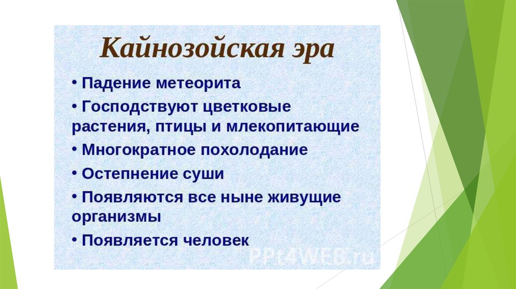 Презентация на тему кайнозойская эра 9 класс биология