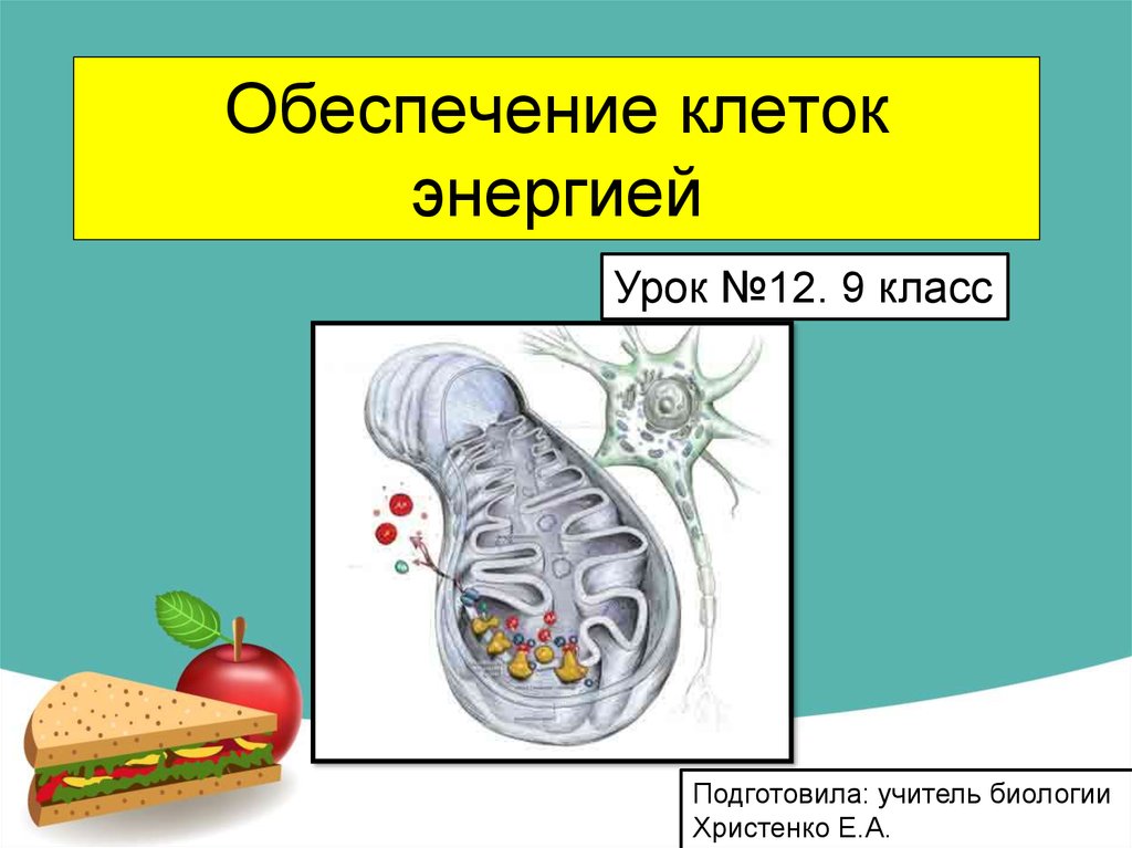 Обеспечивает клетку энергией. Обеспечение клеток энергией 9 класс. Обеспечение клеток энергией 9 класс этапы. Обеспечение клеток энергии девятый класс. Обеспечение клеток эне.