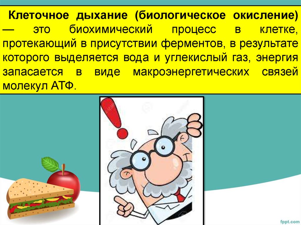 Процесс дыхания клетки. Клеточное дыхание окисление. Биологическое окисление дыхание. Дыхание это процесс биология. Клеточное дыхание или биологическое окисление.