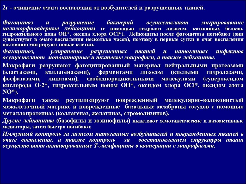 Термины воспаления. Терминология воспаления. Фагоцитоз в очаге воспаления. Фагоцитоз в очаге воспаления осуществляют. Первые клетки в очаге воспаления.