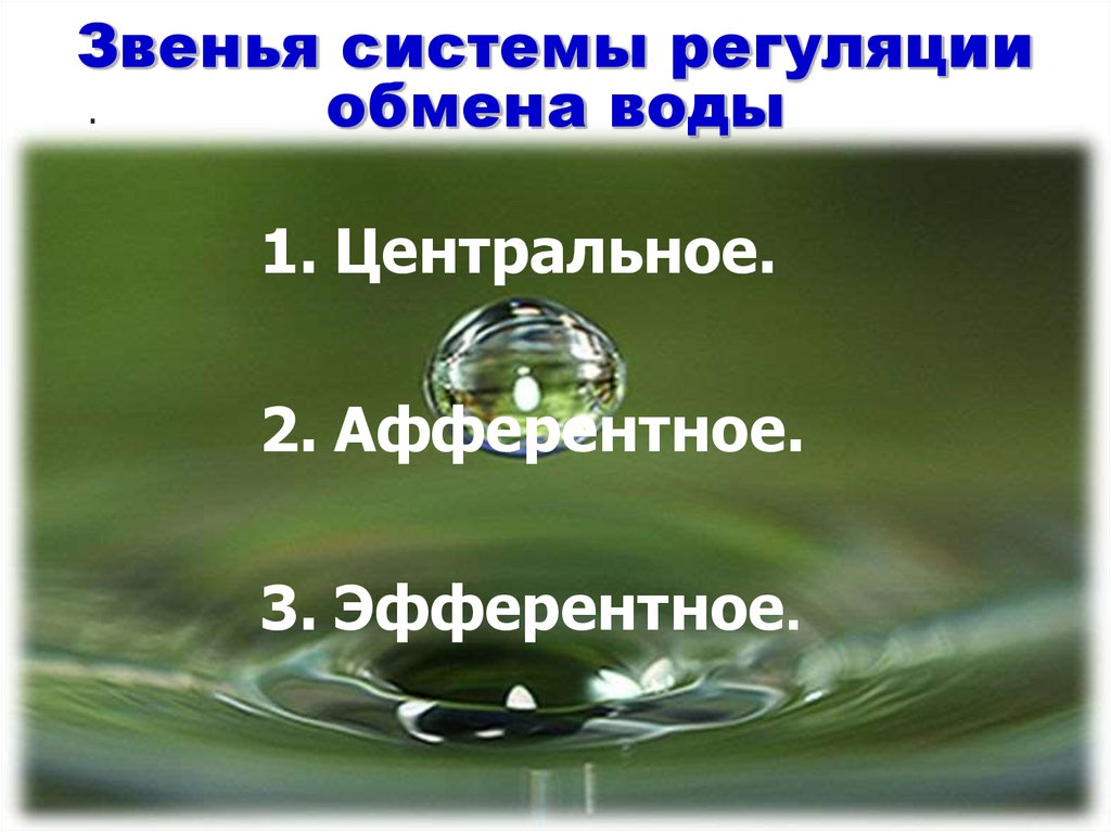 Центральная вода. Механизмы сохранения воды в организме.