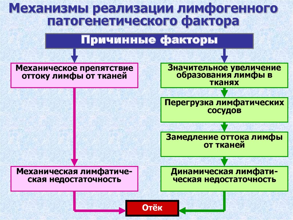 Механизм отеков. Механизм развития лимфогенных отеков. Лимфогенный отек патогенез. Лимфатический отек патогенез. Механизмы развития отеков патофизиология.