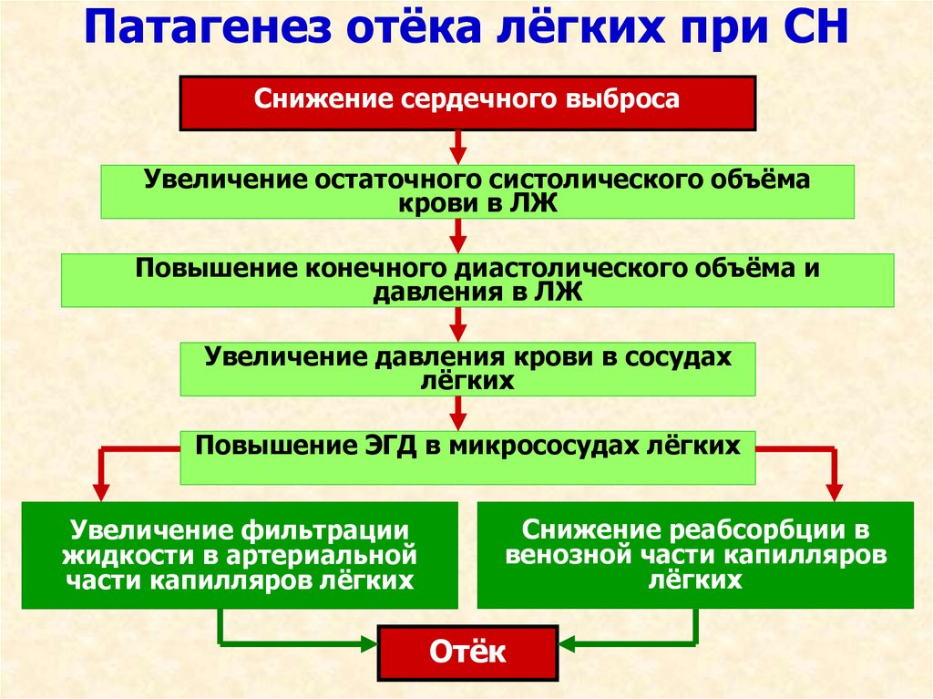 Отек легкого презентация