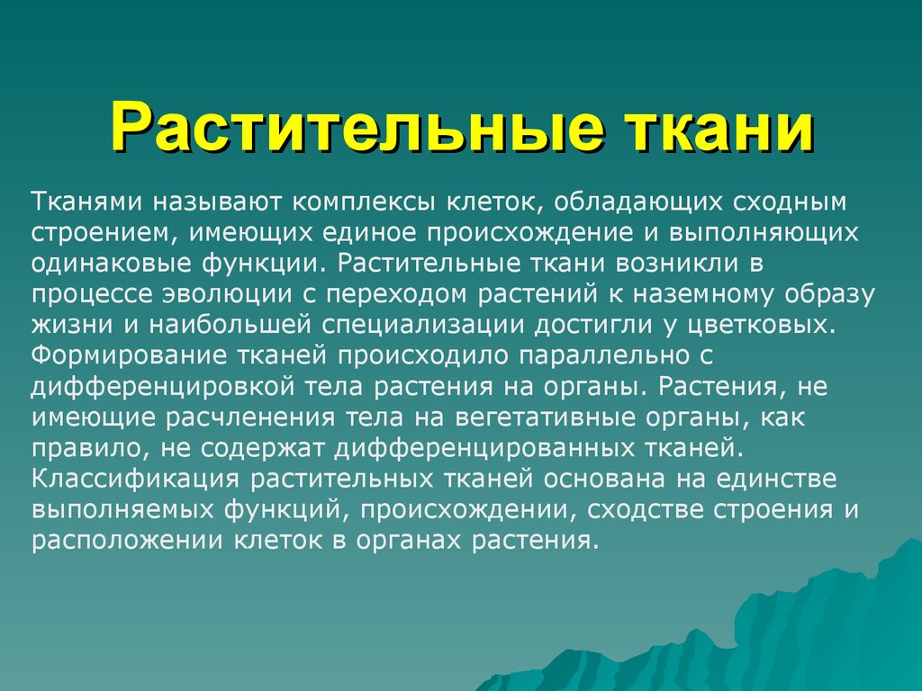 Сходные по строению функциям и происхождению