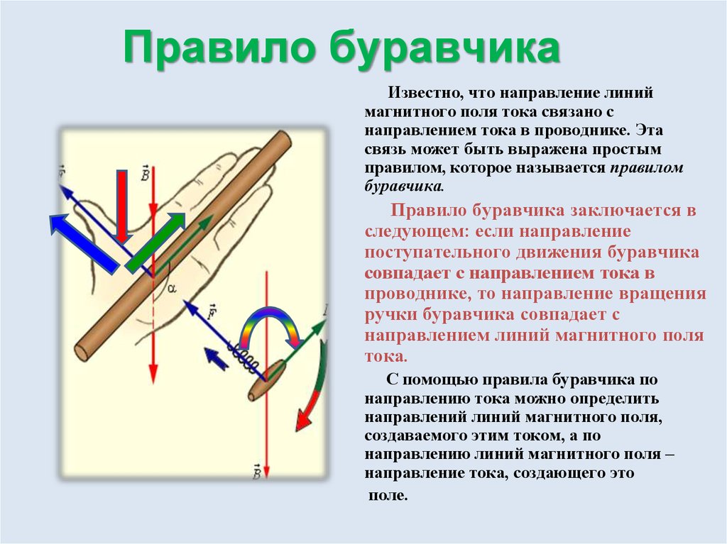 Правило буравчика собака