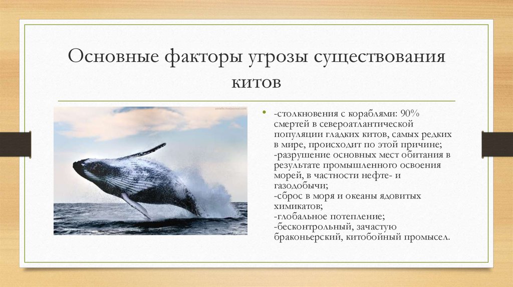 Ребята решили сделать диаграмму чтобы наглядно показать во сколько раз один гренландский кит