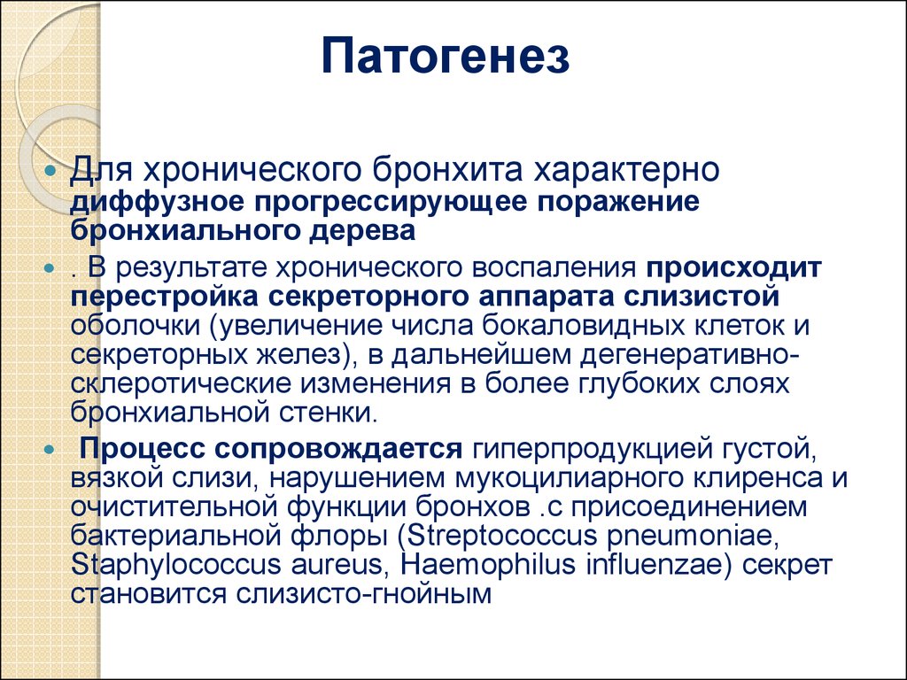 Для хронического бронхита характерен. Хронический бронхит этиология патогенез. Патогенез хронического бронхита. Хронический бронхит механизм развития. Патогенез острого и хронического бронхита.