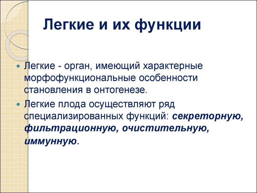 Функции легких. Легкие функции. Функции лёгких кратко. Лёгкие функции кратко. Функции легких кратко.