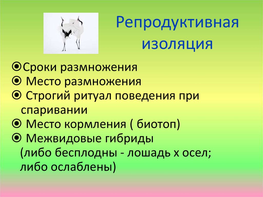 Причины и результаты репродуктивной изоляции