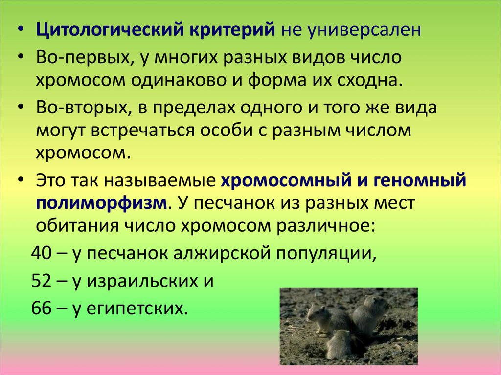 Виды особей. Цитологический критерий примеры. Цитологический критерий вида. Цитологический критерий вида примеры. Таблица критерии вида цитологический.