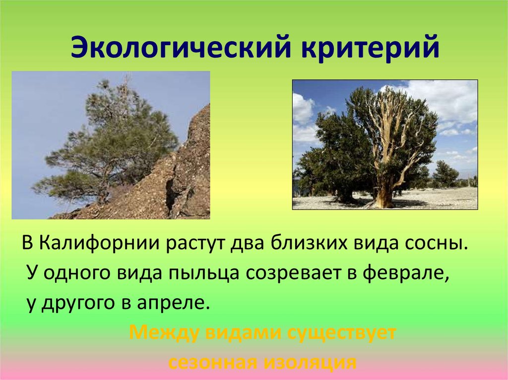 Окружающее описание. Экологический критерий примеры. Экологическй крттнпий. Экологический критерий вида. Примеры этологического критерия ВИА.