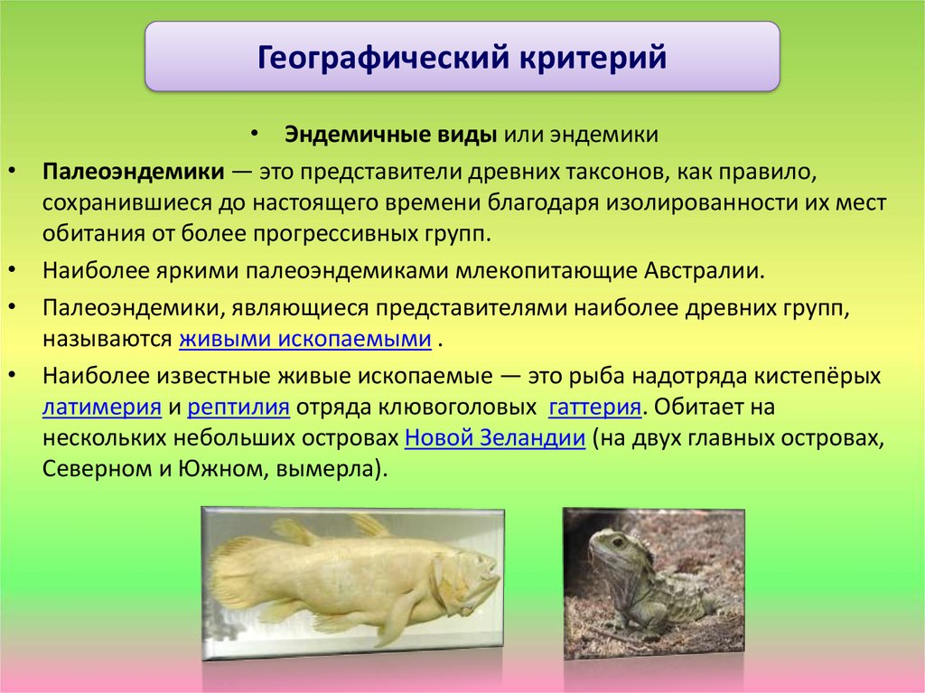 Географические признаки в биологии 5 класс