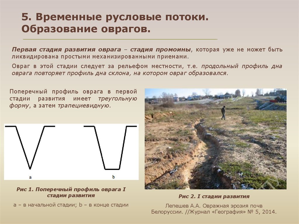 Что является причиной образования оврагов. Этапы образования оврага. Стадии образования оврага. Стадии формирования оврага. Стадия развития Овражной эрозии.