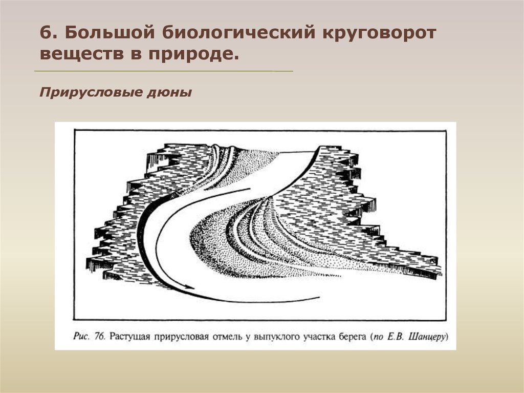 Большой биологический. Геоморфологические элементы. Образование дюны рисунок. Выпуклые прирусловые отмели. Прирусловыми валами простым.