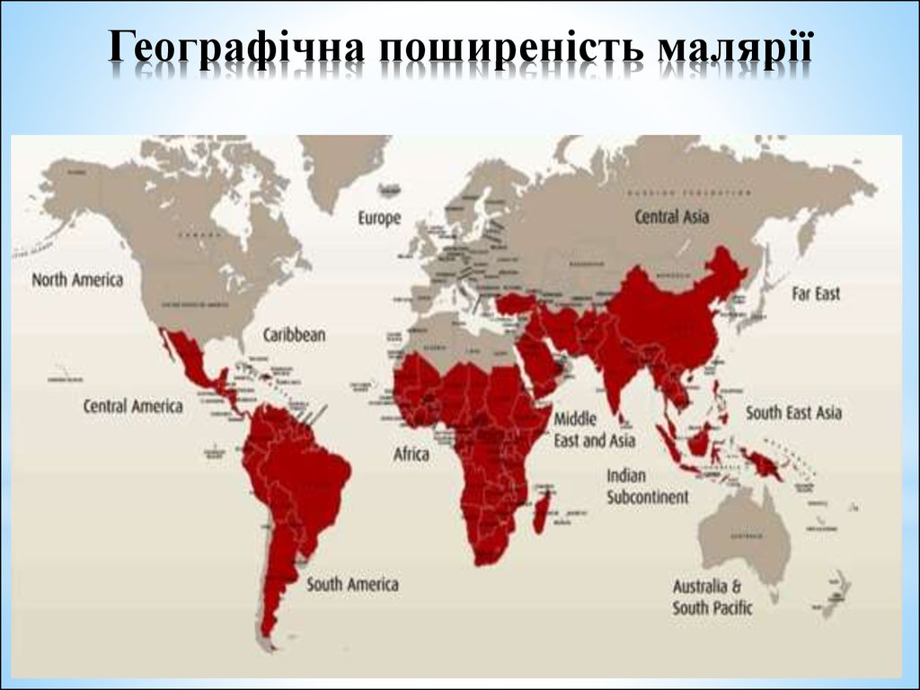 Малярия распространена. Малярия ареал распространения. Карта распространения малярии. Карта распространения малярии в мире. Зона распространения малярии.