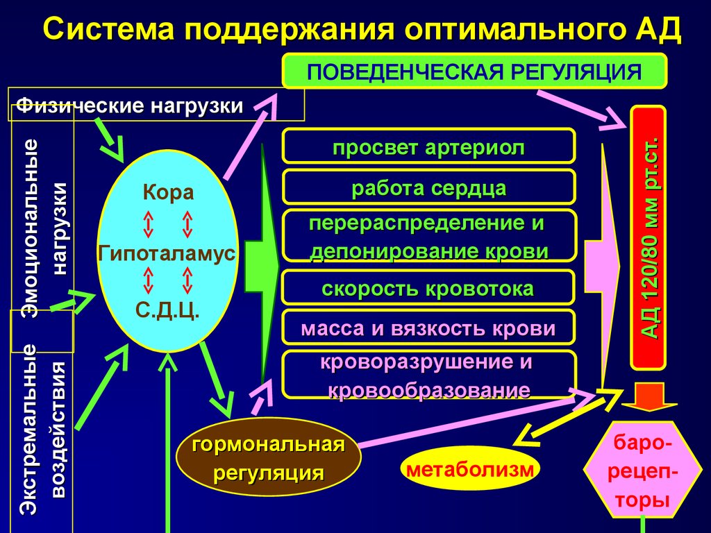 Механизмы поддержания