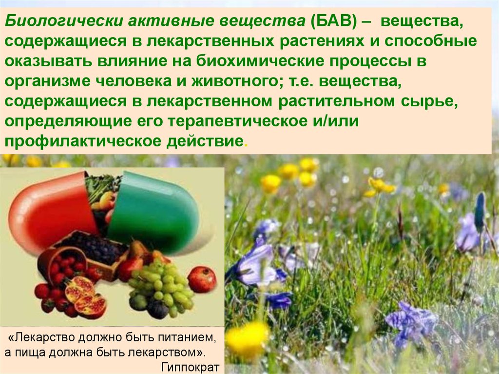 Польза живых организмов. Биологически активные вещества. Биологически активные вещества лекарственных растений. Биологические активные вещества лекарственных растений. Биологичсекиактивные вещества.