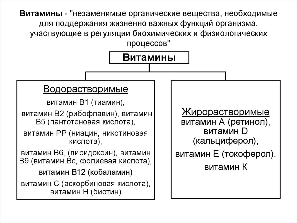 Биологически активные вещества витамины проект