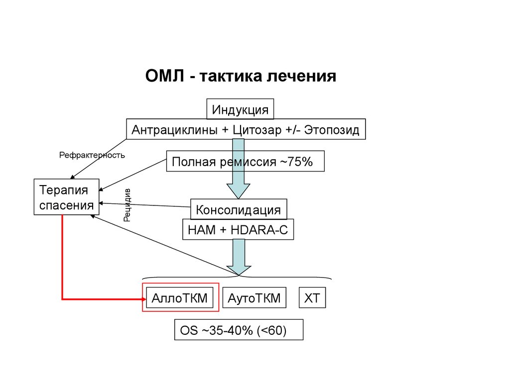 Острый лейкоз схема лечения