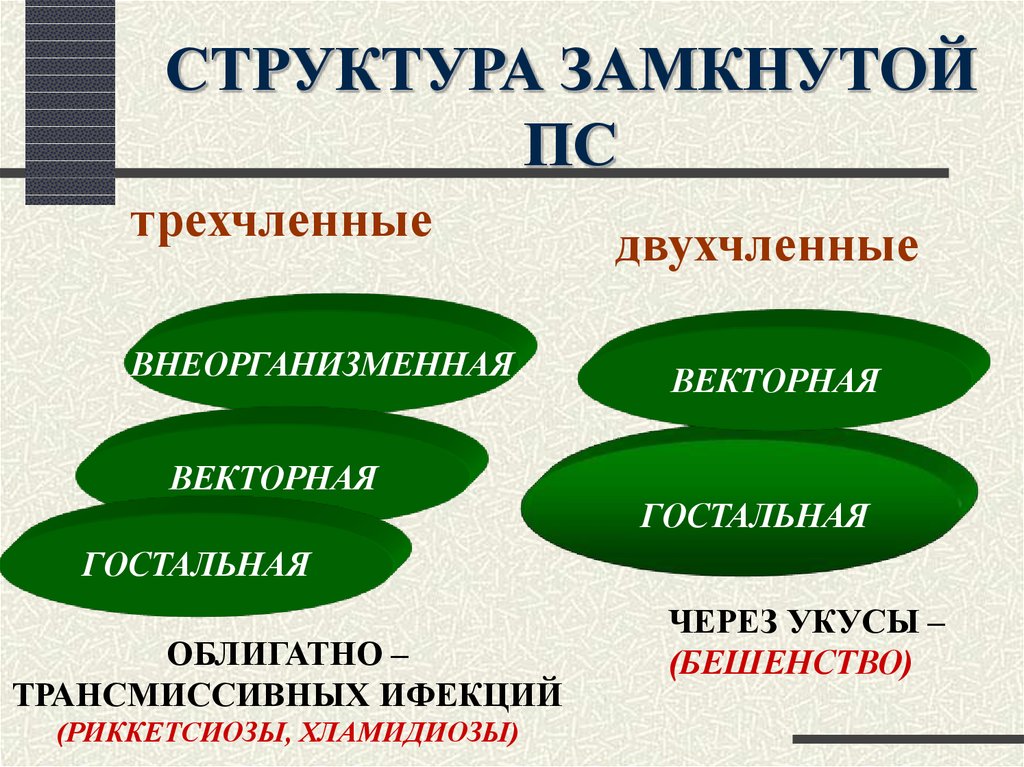 Особенности строения замкнутой системы