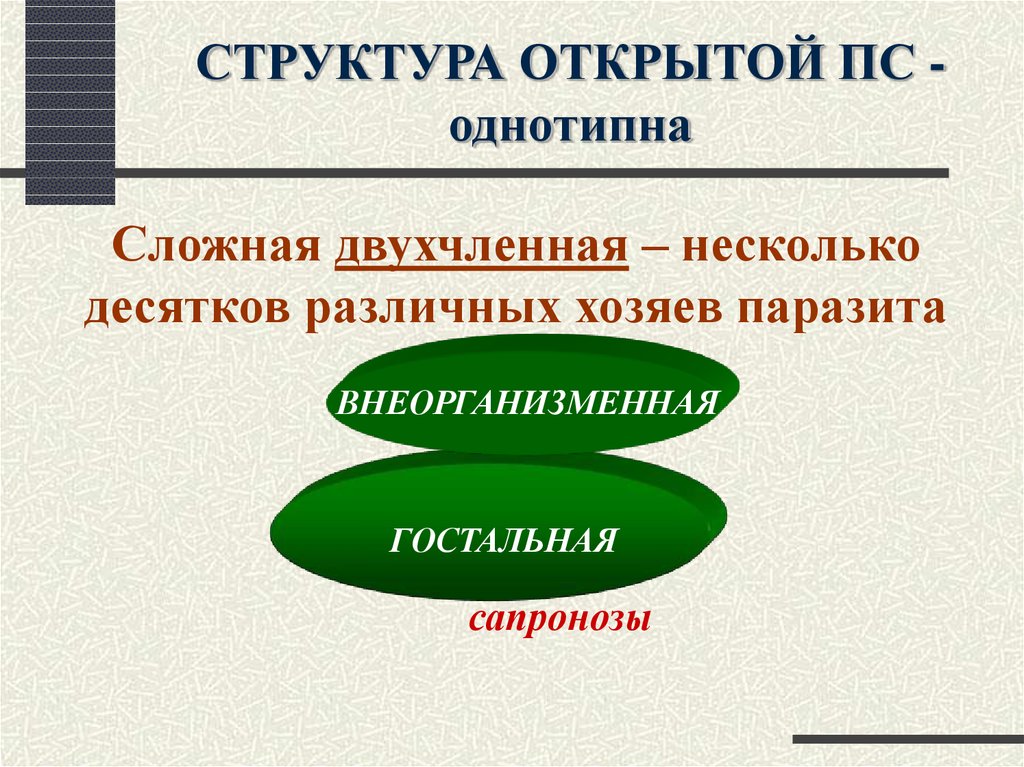 Открытая структура предложения