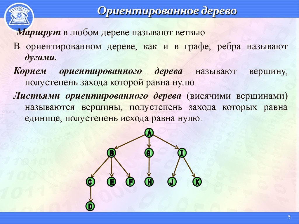 Деревья 8 класс презентация вероятность. Графы деревья. Ветви бинарного дерева. Корневое бинарное дерево. Неориентированное дерево.