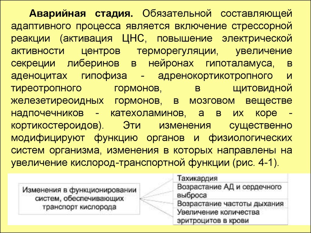 Обязательная составляющая. Этапы адаптации организма. Стадии адаптации физиология. Адаптация секреции это физиология. Адаптация секреции это.