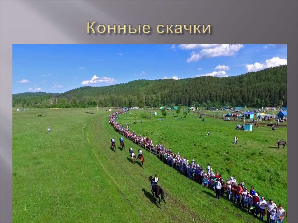 Конные скачки