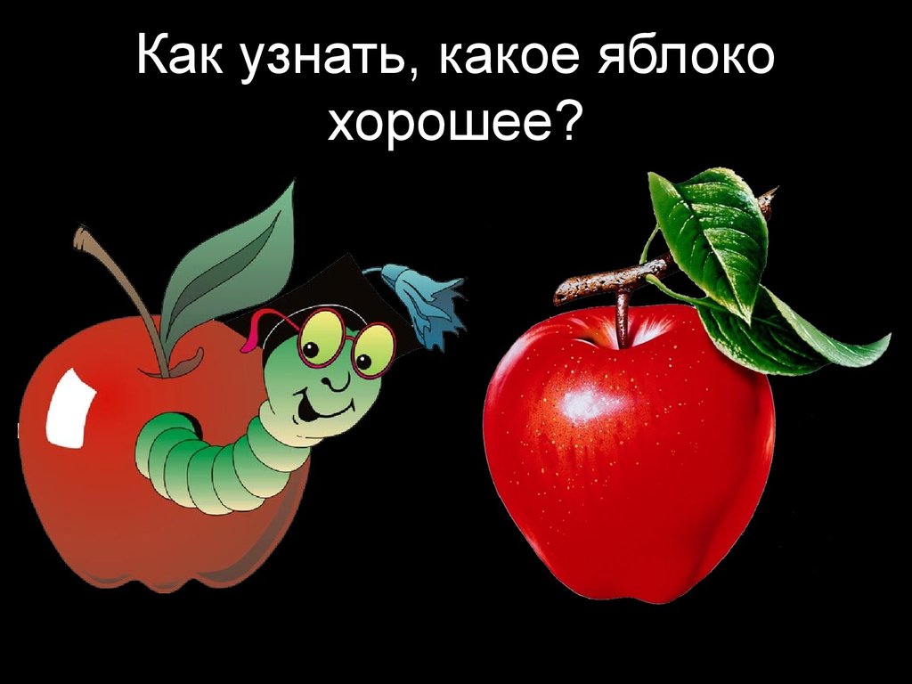 Хорошее яблоко на русском. Как выглядят хорошие яблоки. Яблоко по цвету какое. Какое яблоко лучшее. Как проверить на ядяблоко.