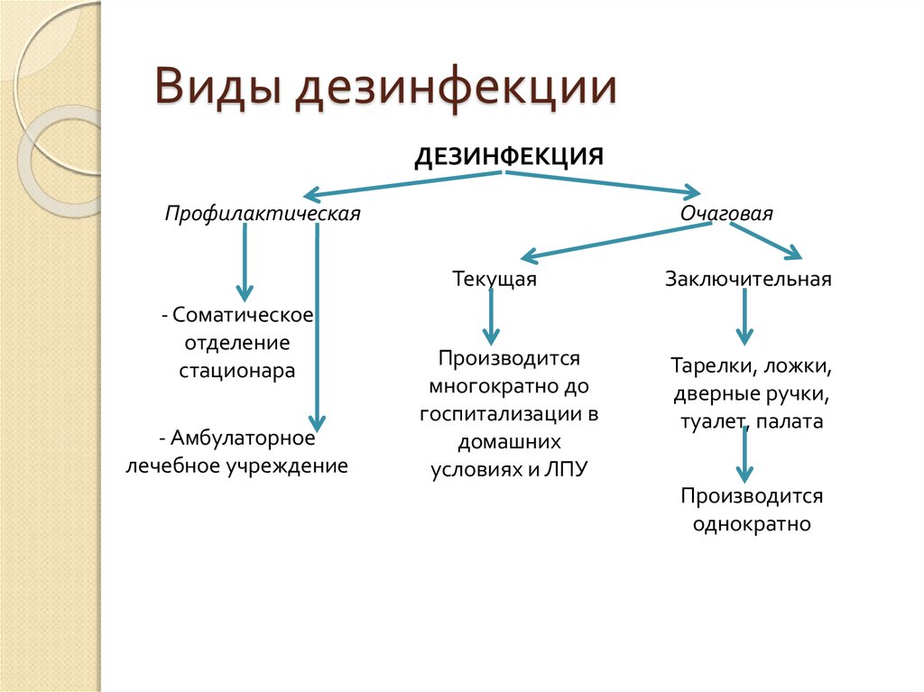 Виды дезинфекции схема