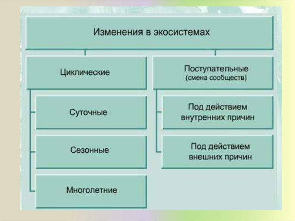 Смена биогеоценоза