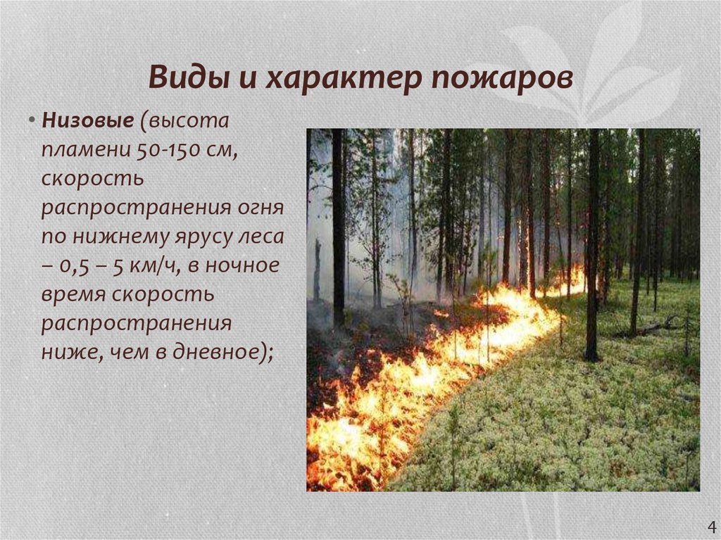 Какие существуют пожары. Характер распространения пожара. Типы пожаров в лесу. Высота пламени низового пожара. Скорость распространения лесного пожара.