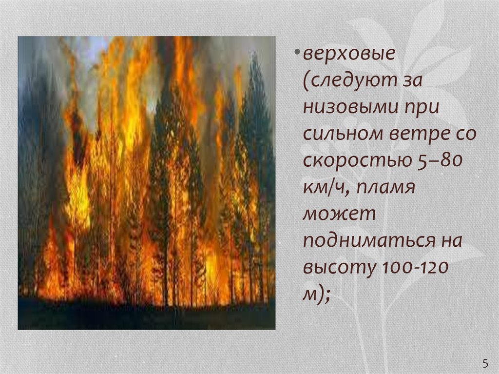 Пожар при сильном ветре. Низовой беглый Лесной пожар. Лесной верховой пожар способы тушения. Сильный низовой Лесной пожар. Верховой и низовой пожар.