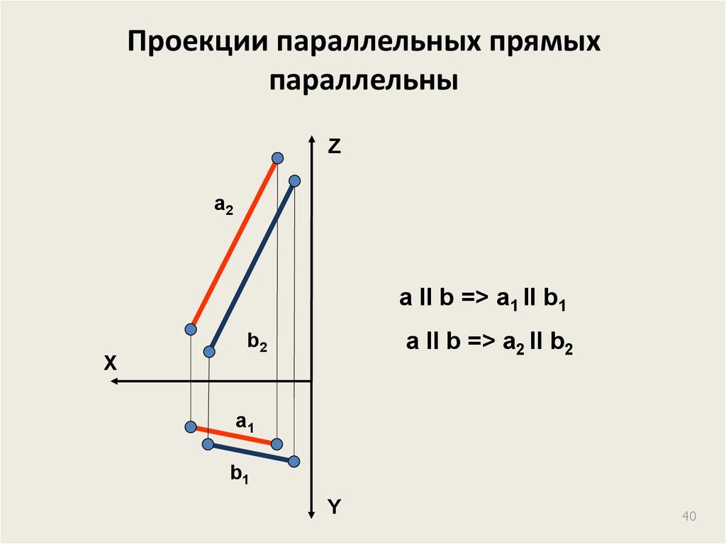 Проекции параллельных прямых параллельны