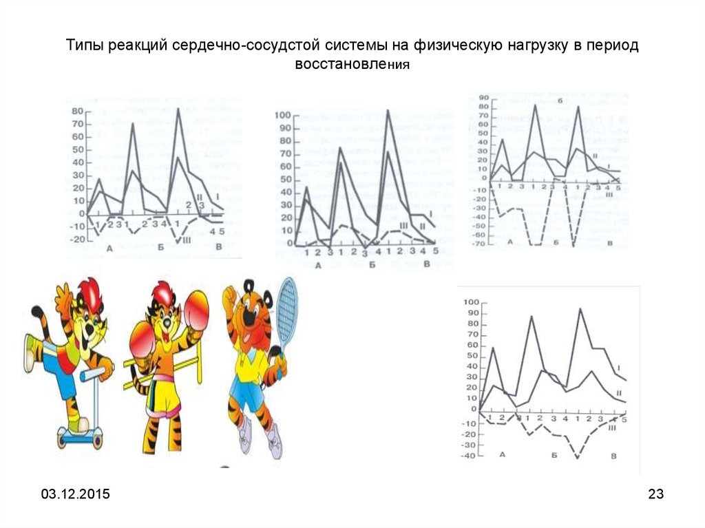 Сопоставьте типы реакции сердечно сосудистой системы на физическую нагрузку c рисунком